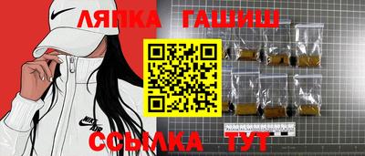 стаф Владимир