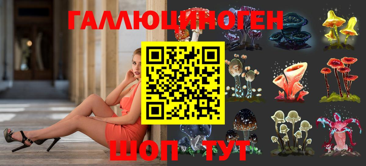 Псилоцибиновые грибы Psilocybine cubensis  Вход с VPN  Железноводск 